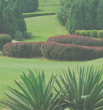 手机号码轰炸机免费版